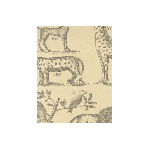 KRAVET COUTURE - ARK- PARCHMENT - Wallcovering by the Roll PARCHMENT