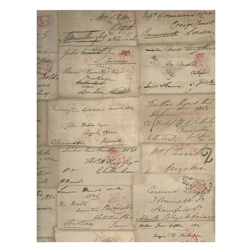 KRAVET COUTURE - LOVE LETTER- PARCHMENT - Wallcovering by the Roll PARCHMENT