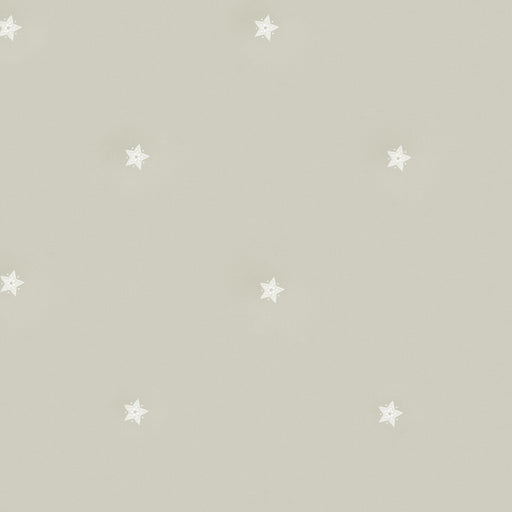 KRAVET COUTURE - SOUK- PEBBLE - Wallcovering by the Roll PEBBLE