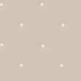 KRAVET COUTURE - SOUK- PLASTER - Wallcovering by the Roll