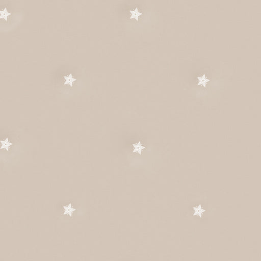 KRAVET COUTURE - SOUK- PLASTER - Wallcovering by the Roll PLASTER