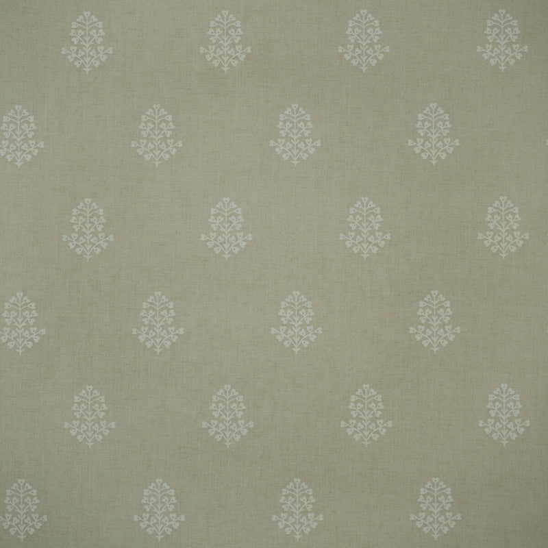 KRAVET COUTURE - COW PARSLEY- STONE - Wallcovering by the Roll STONE