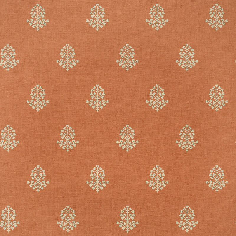 KRAVET COUTURE - COW PARSLEY- CLEMENTINE - Wallcovering by the Roll CLEMENTINE
