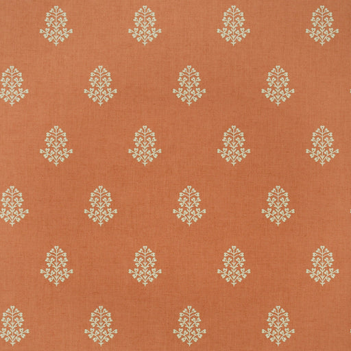 KRAVET COUTURE - COW PARSLEY- CLEMENTINE - Wallcovering by the Roll CLEMENTINE