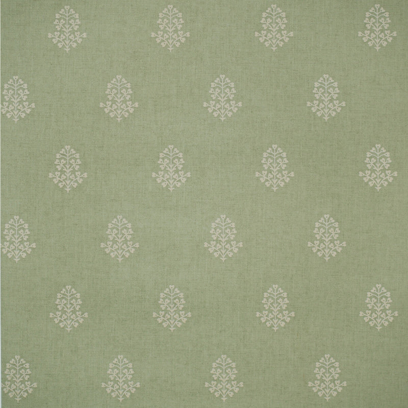KRAVET COUTURE - COW PARSLEY- LEAF - Wallcovering by the Roll LEAF