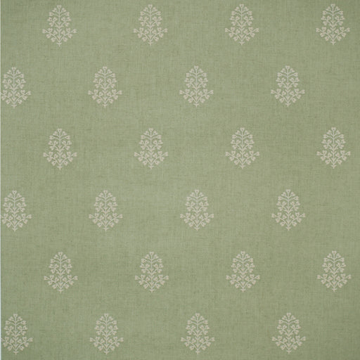 KRAVET COUTURE - COW PARSLEY- LEAF - Wallcovering by the Roll LEAF