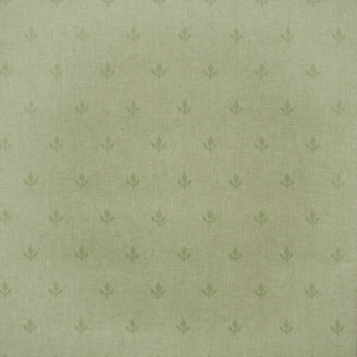KRAVET COUTURE - AMW10077 - CROCUS - Wallpaper By the Roll
