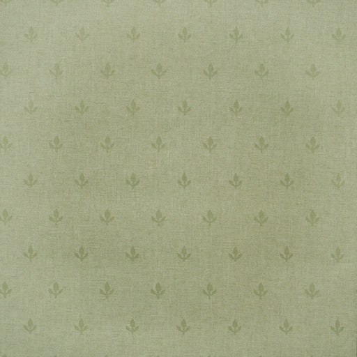 KRAVET COUTURE - CROCUS- LEAF - Wallcovering by the Roll LEAF