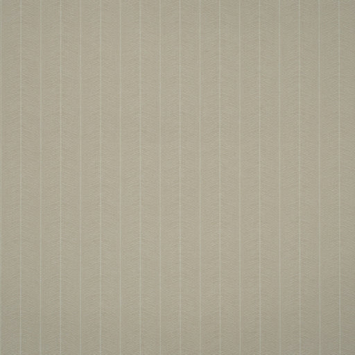 KRAVET COUTURE - HORNBEAM- STONE - Wallcovering by the Roll STONE