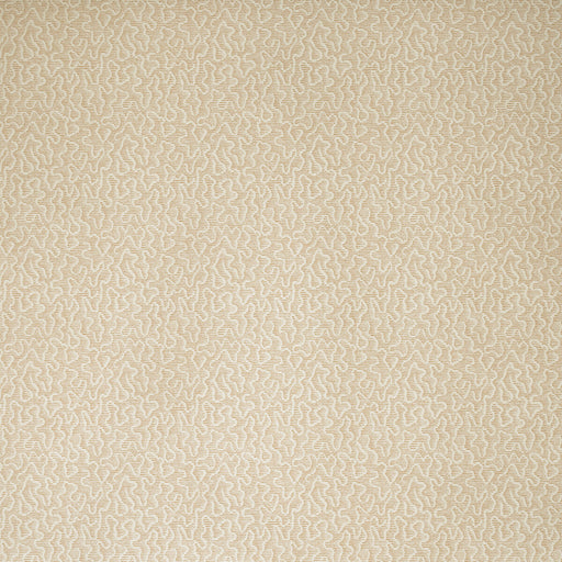 KRAVET COUTURE - MOSS- PLASTER - Wallcovering by the Roll PLASTER