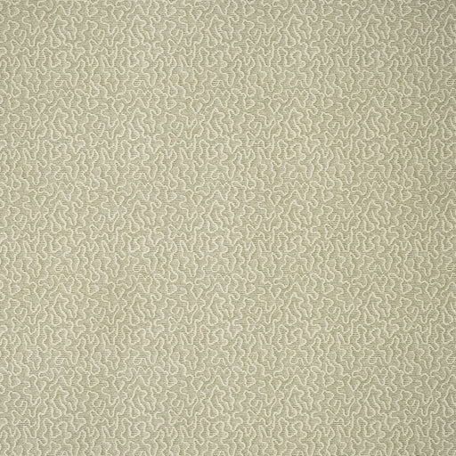 KRAVET COUTURE - AMW10079 - MOSS - Wallpaper By the Roll