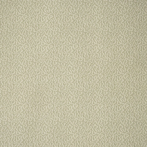 KRAVET COUTURE - MOSS- LEAF - Wallcovering by the Roll LEAF