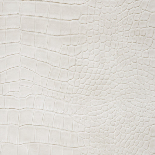 KRAVET DESIGN - KRAVET DESIGN- ANKORA-1 - Fabric by the Yard ANKORA-1