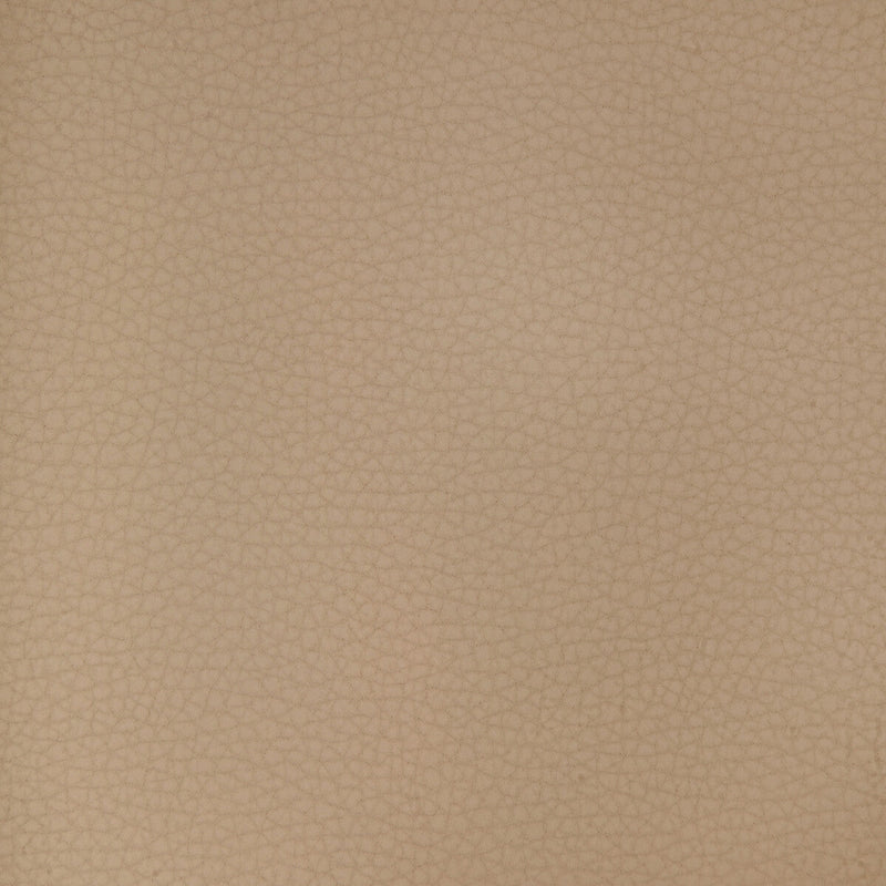 KRAVET DESIGN - KRAVET DESIGN- ARENI-1101 - Fabric by the Yard ARENI-1101