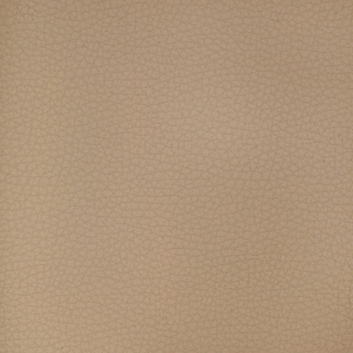 KRAVET DESIGN - KRAVET DESIGN- ARENI-1101 - Fabric by the Yard ARENI-1101