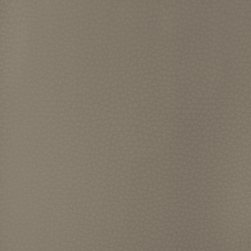 KRAVET DESIGN - KRAVET DESIGN- ARENI-11 - Fabric by the Yard ARENI-11