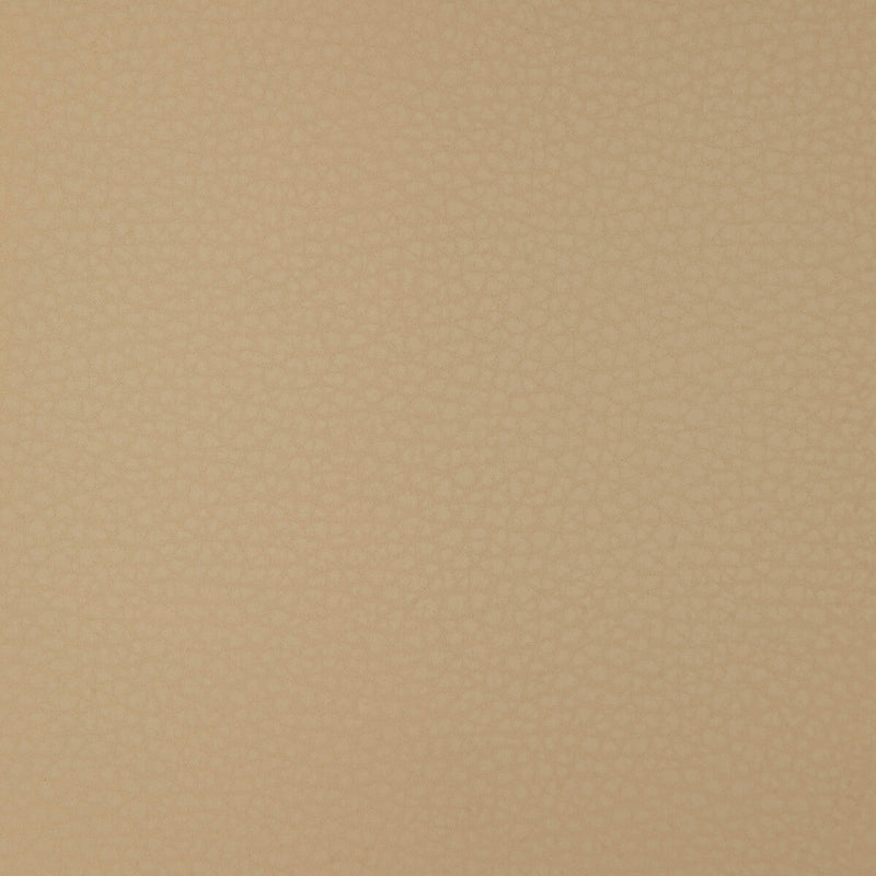 KRAVET DESIGN - KRAVET DESIGN- ARENI-16 - Fabric by the Yard ARENI-16