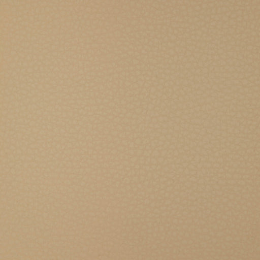 KRAVET DESIGN - KRAVET DESIGN- ARENI-16 - Fabric by the Yard ARENI-16