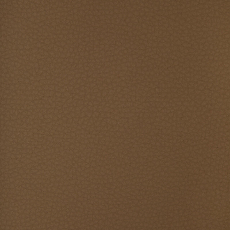 KRAVET DESIGN - KRAVET DESIGN- ARENI-6 - Fabric by the Yard ARENI-6