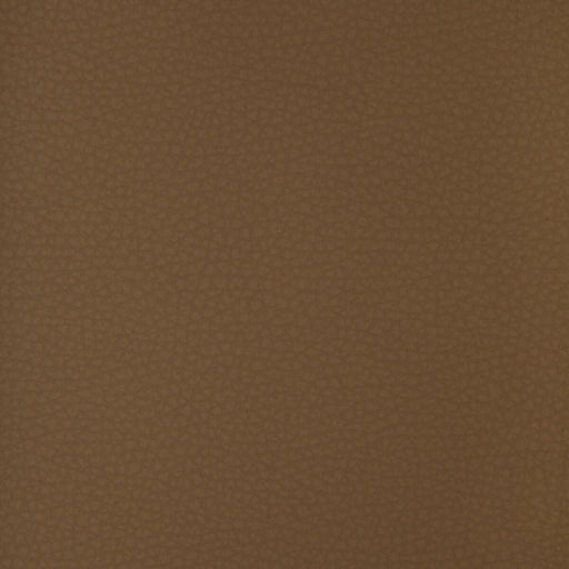 KRAVET DESIGN - KRAVET DESIGN- ARENI-6 - Fabric by the Yard ARENI-6