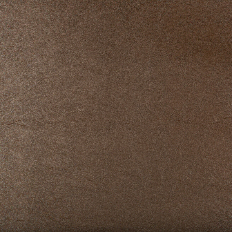 KRAVET DESIGN - KRAVET DESIGN- ARISTIDES-66 - Fabric by the Yard ARISTIDES-66