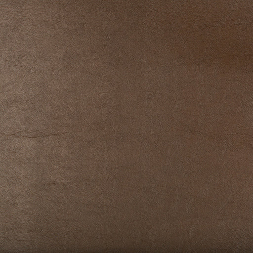 KRAVET DESIGN - KRAVET DESIGN- ARISTIDES-66 - Fabric by the Yard ARISTIDES-66