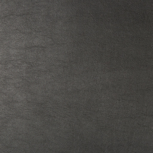 KRAVET DESIGN - KRAVET DESIGN- ARISTIDES-821 - Fabric by the Yard ARISTIDES-821