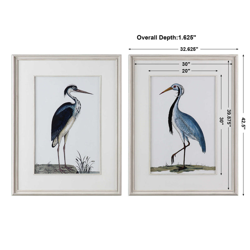 Uttermost Shore Birds Framed Prints Set/2