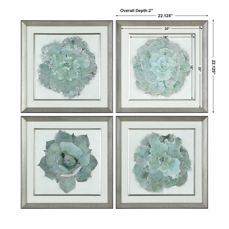 Uttermost Natural Beauties Botanical Prints Set/4