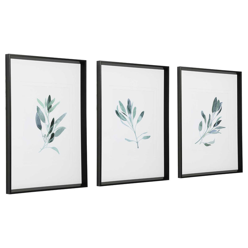 Uttermost Simple Sage Watercolor Prints Set/3