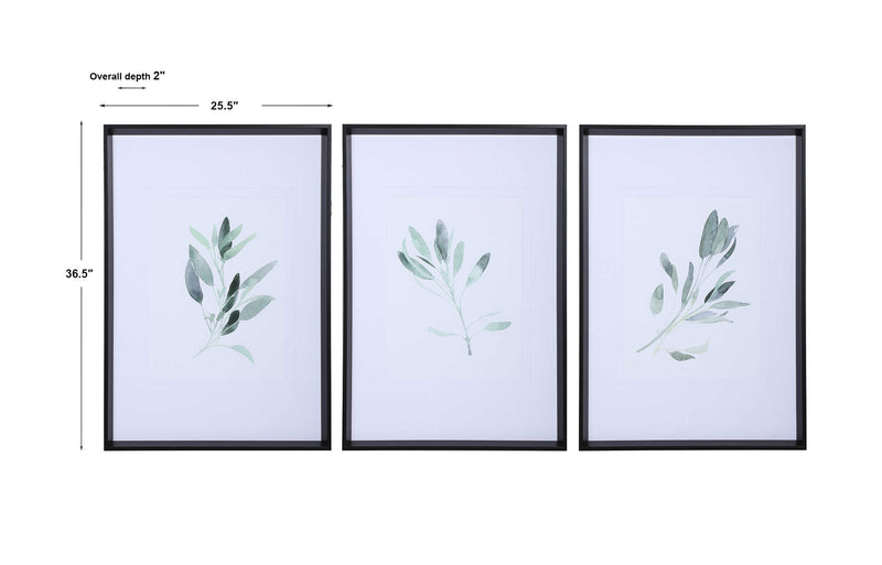 Uttermost Simple Sage Watercolor Prints Set/3