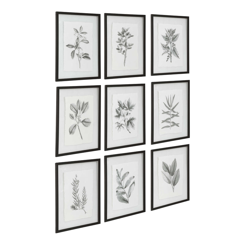 Uttermost Farmhouse Florals Framed Prints Set/9