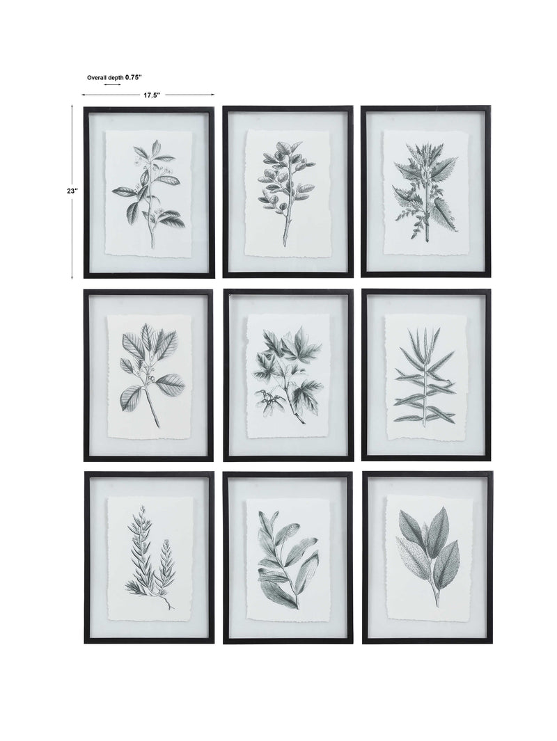 Uttermost Farmhouse Florals Framed Prints Set/9