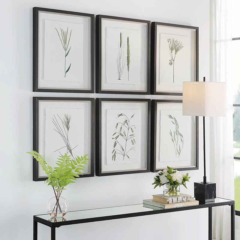 Uttermost Forest Finds Framed Prints Set/6