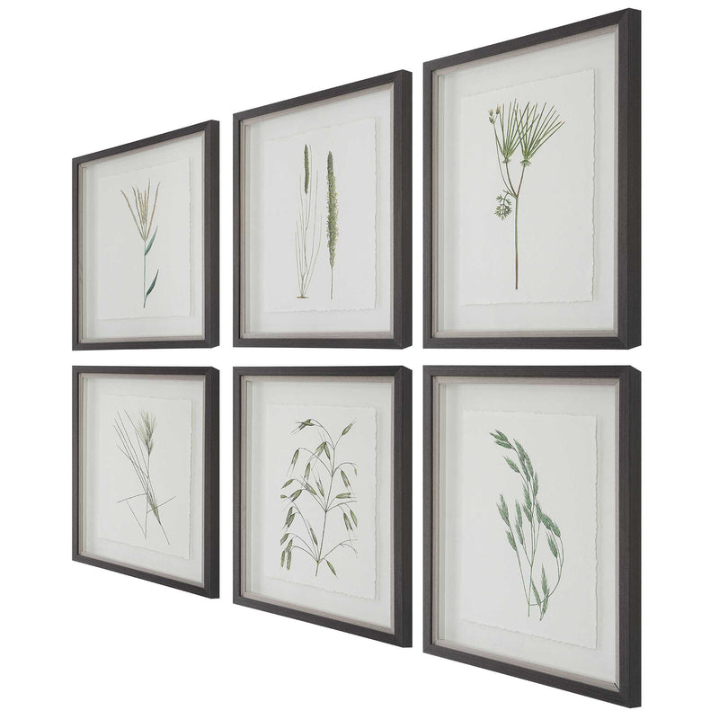 Uttermost Forest Finds Framed Prints Set/6