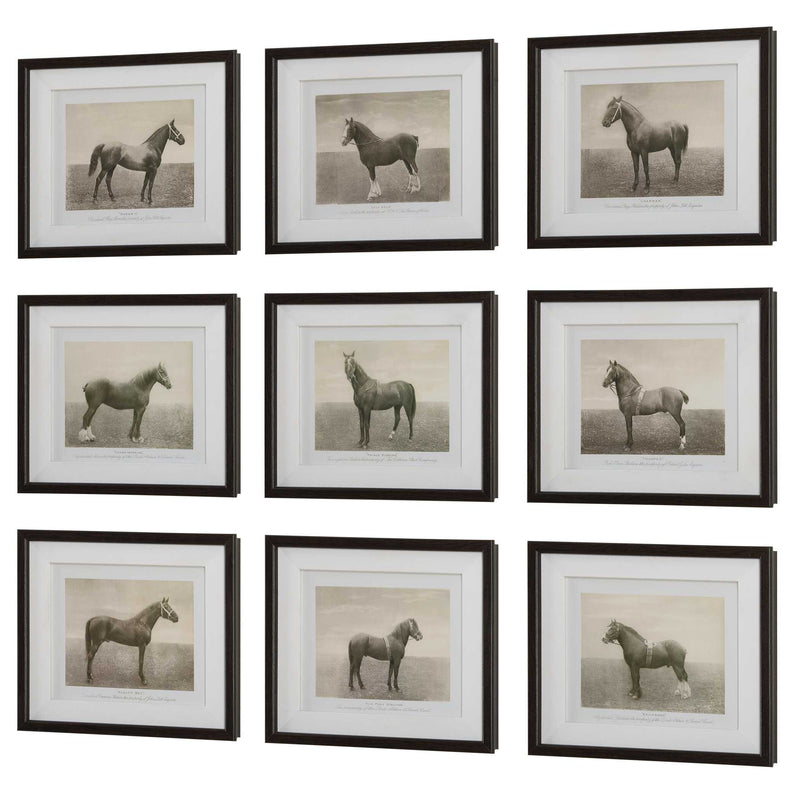 Uttermost Equine Dynasty Framed Prints Set/9