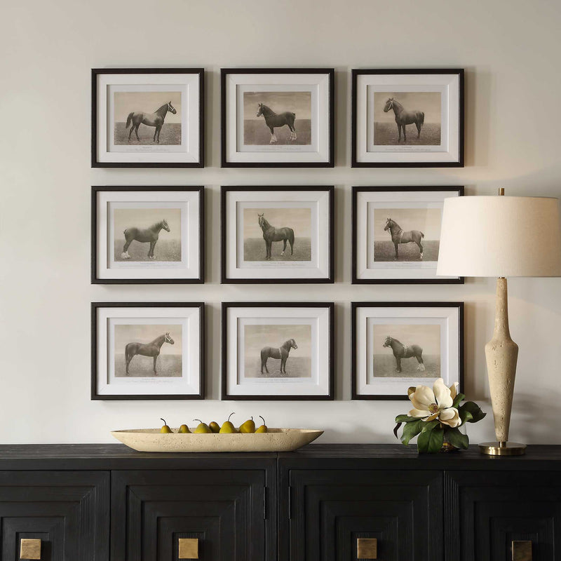 Uttermost Equine Dynasty Framed Prints Set/9