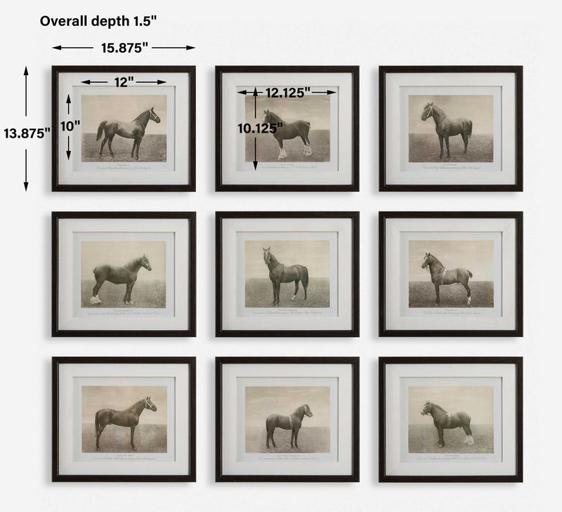 Uttermost Equine Dynasty Framed Prints Set/9