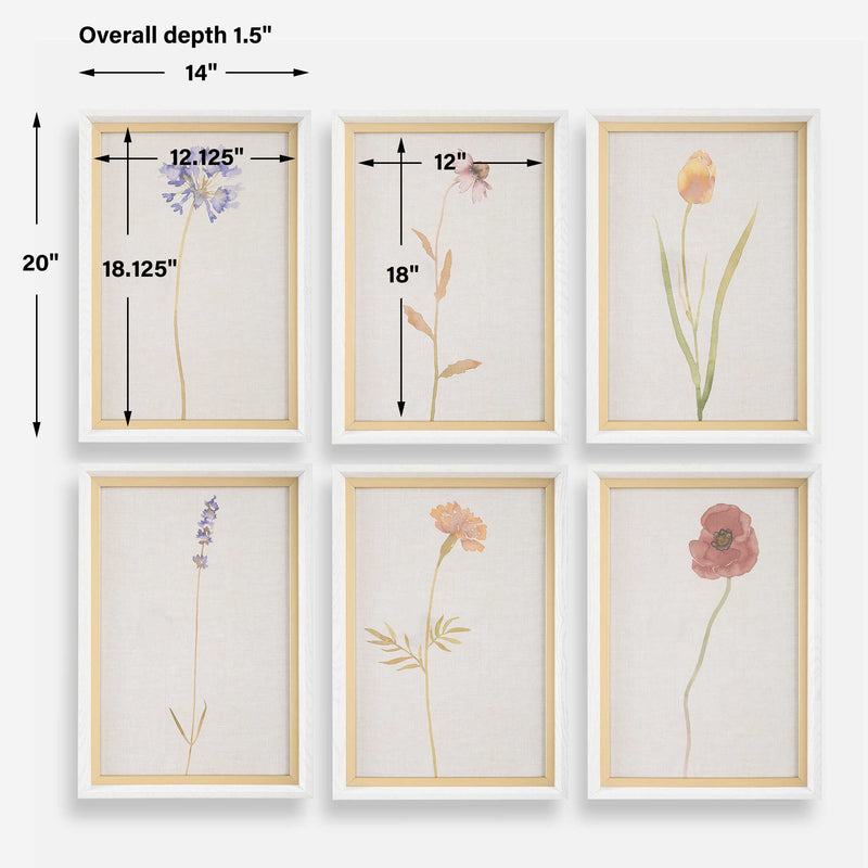 Uttermost Wild Flourish Framed Floral Prints Set/6
