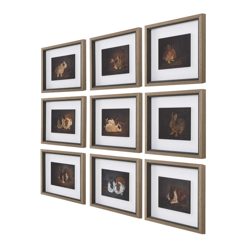 Uttermost Resting Bunny Framed Prints Set/9