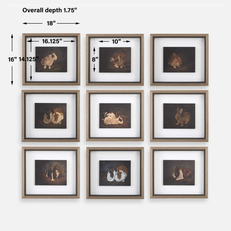 Uttermost Resting Bunny Framed Prints Set/9