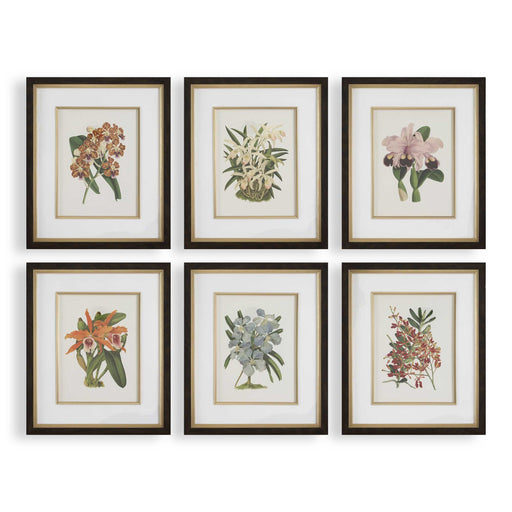 32447