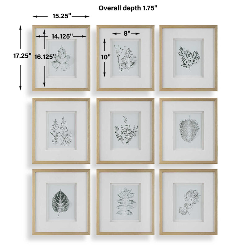 Uttermost Nature's Script Framed Botanical Prints Set/9