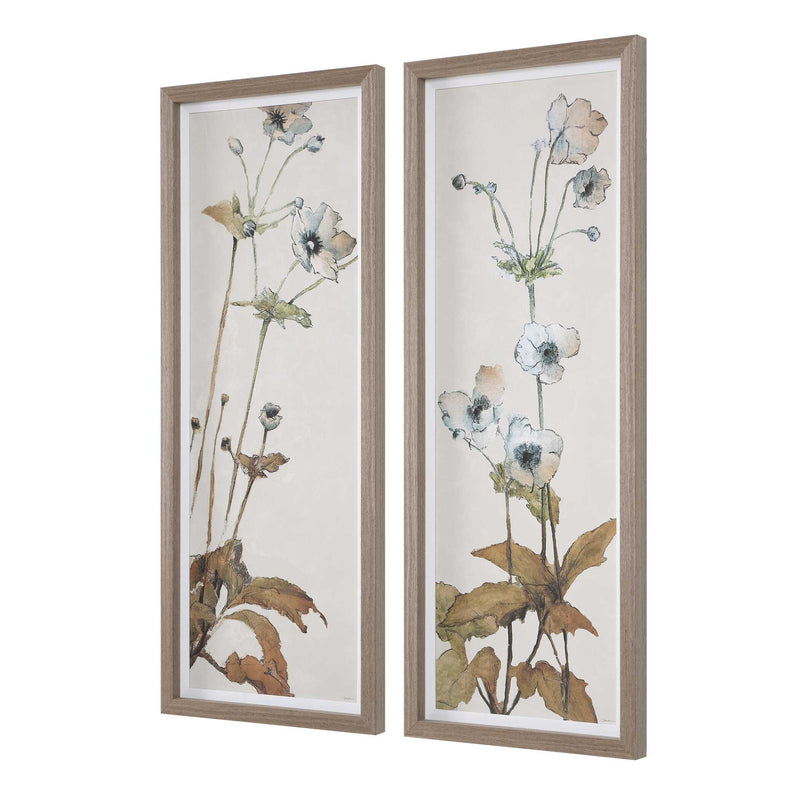 Uttermost Garden Study Framed Floral Prints, S/2