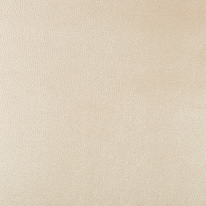 KRAVET DESIGN - KRAVET DESIGN- AZERI-116 - Fabric by the Yard AZERI-116