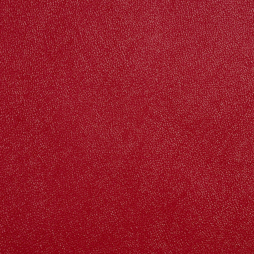 Charlotte - Allsport-Aztec - Aztec - Fabric by the Yard Aztec