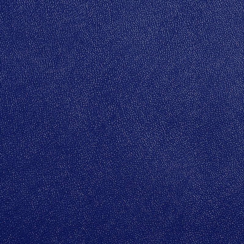 Charlotte - Allsport-Blue - Blue - Fabric by the Yard Blue