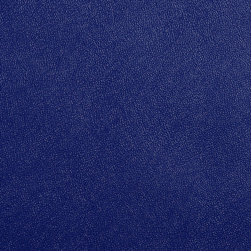 Charlotte - Allsport-Blue - Blue - Fabric by the Yard Blue