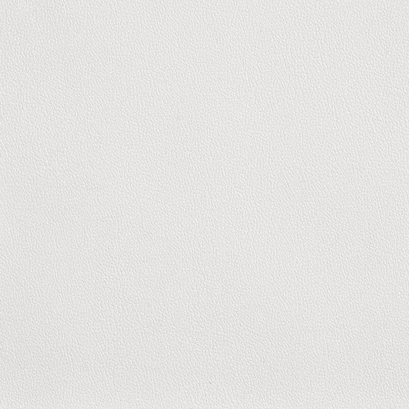 Charlotte - Allsport-Chalk - Chalk - Fabric by the Yard Chalk