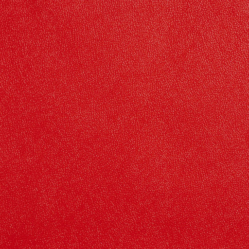 Charlotte - Allsport-ReD - Red - Fabric by the Yard Red